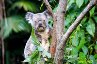 20160807 Animal Sanctuary (56)-3 - Web