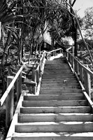20160813 Stradbroke (52)-2 - Web