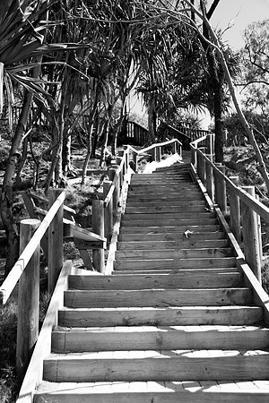 20160813 Stradbroke (52)-2 - Web