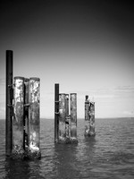 20160813 Stradbroke Nikon (18)-4 - Web