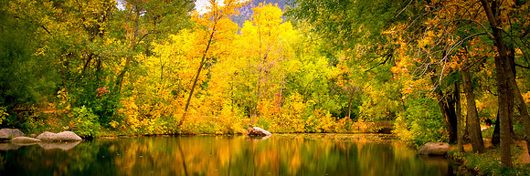 USA-0002-Fall Colors in Boulder - Print 45w15h