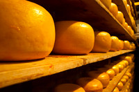 AMS-0028-Edam Cheese Wheels_ - Print 18w12h