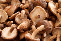 AMS-0023-Mushrooms At The Farmers Market At Noorderk_ - Print 18w12h