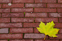 AMS-0005-Amsterdam Sidewalk Red_ - Print 18w12h